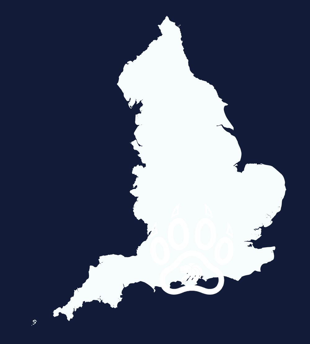 A map of England in white against a dark blue background, featuring a black lion paw print symbol with a lion head inside it positioned over the southern region.