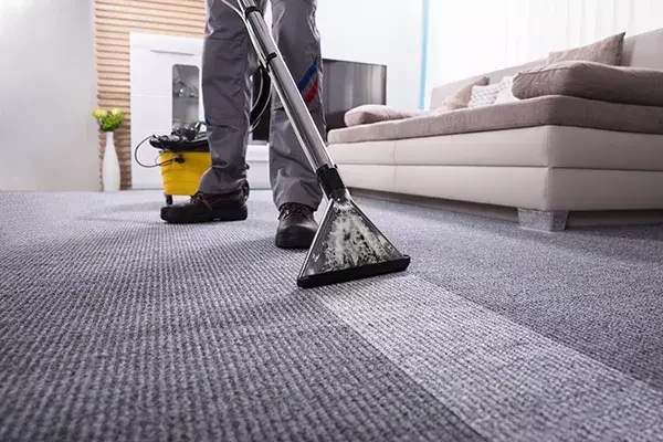 A cleaning specialist uses a carpet extraction machine to deep clean a grey carpet in a modern room, leaving a clearly visible clean path behind.